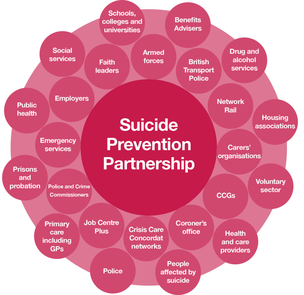 Diagram of suicide prevention partnership members