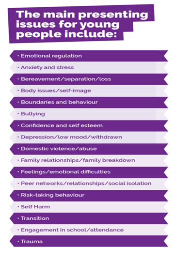 Figure showing the main presenting issues for young people