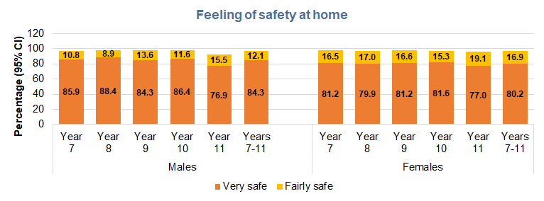 Percentage of young people reporting that they feel very safe or fairly safe at home by school year for males and females, Hull's Young People Health and Wellbeing Survey 2024