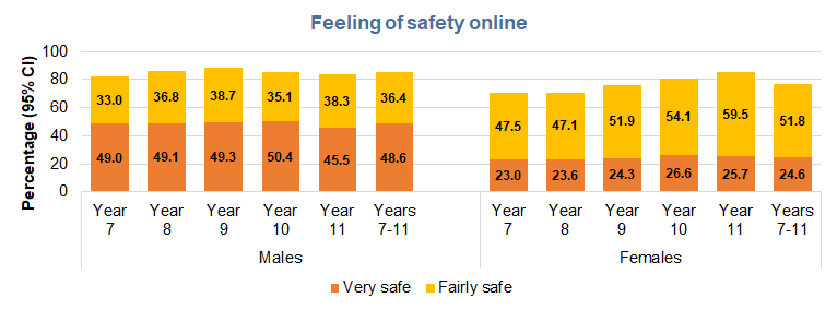 Percentage of young people reporting that they feel very safe or fairly safe online by school year for males and females, Hull's Young People Health and Wellbeing Survey 2024