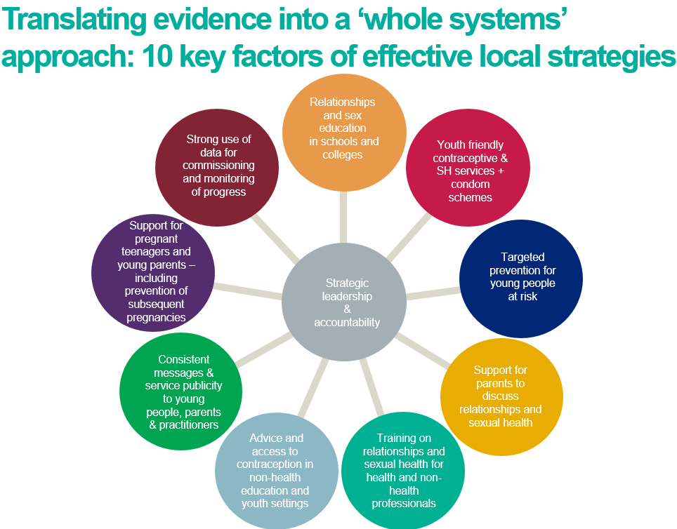 image showing whole system approach to teenage pregnancy