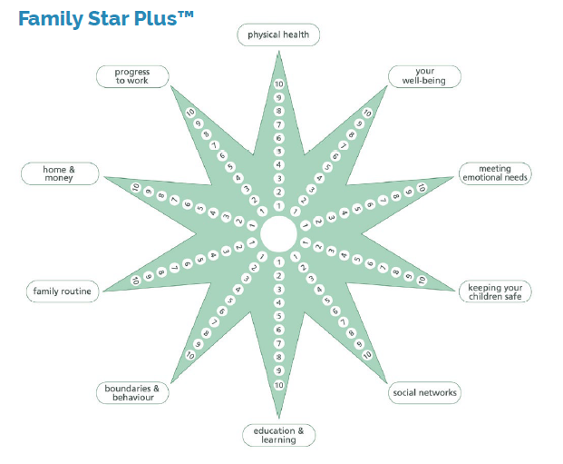 Family Star PlusTM diagram