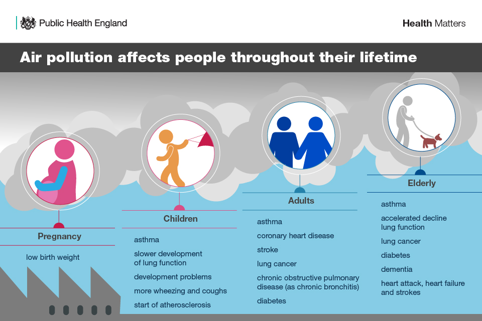 Effects of air pollution throughout a person's lifetime
