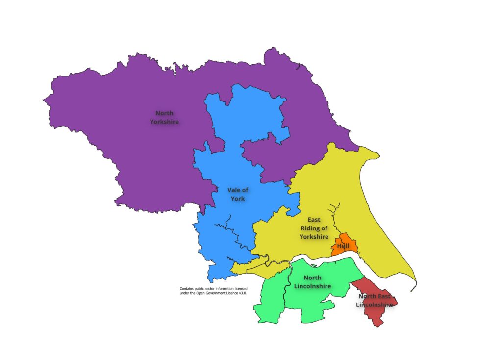 Sub-Integrated Care Boards within Humber and North Yorkshire Integrated Care Board