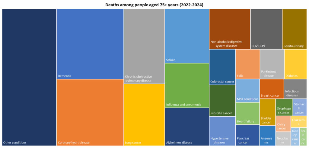 Top 30 causes of death among people aged 75+ years for deaths registered during 2022-2024