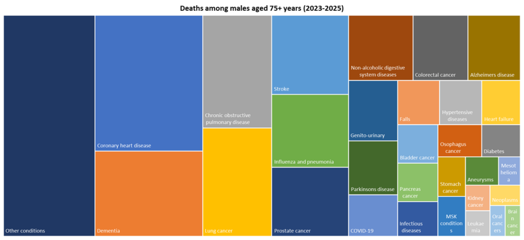 Top 30 causes of death among males in Hull aged 75+ years for deaths registered during 2023-2025
