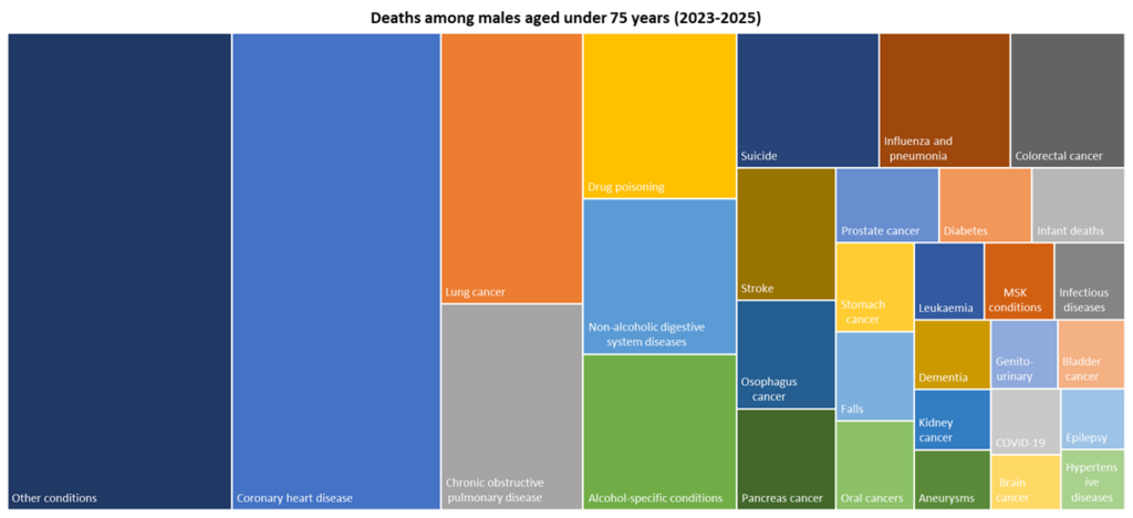 Top 30 causes of death among males in Hull aged under 75 years for deaths registered during 2023-2025
