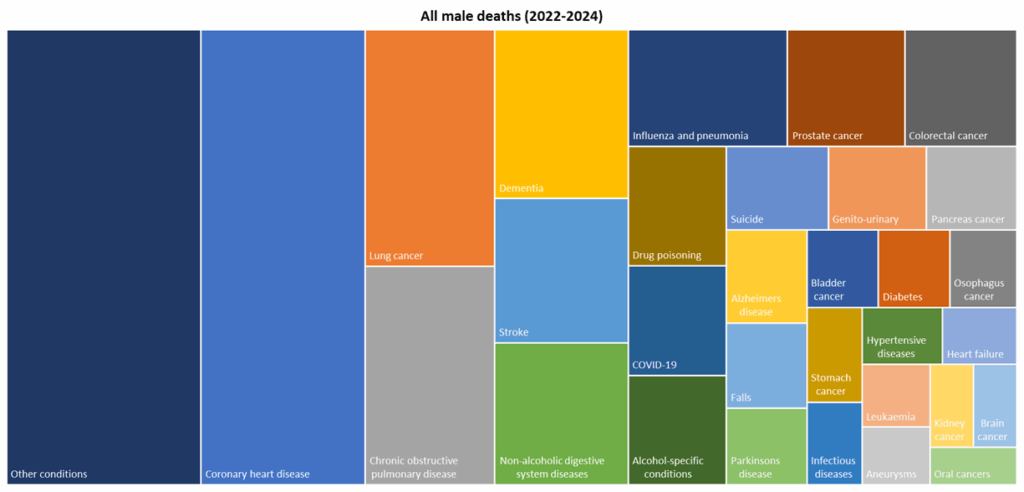 Top 30 causes of death among males for deaths registered during 2022-2024