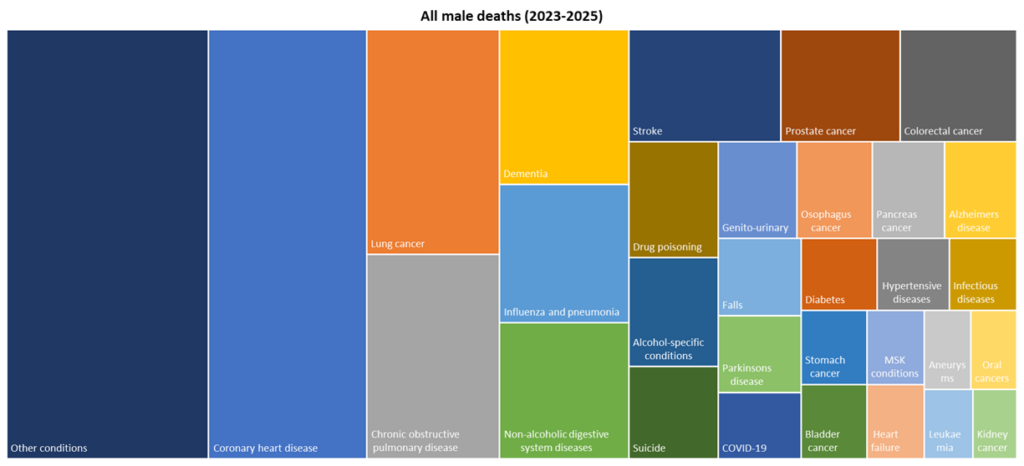 Top 30 causes of death among males in Hull for deaths registered during 2023-2025