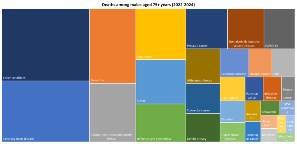 Top 30 causes of death among males aged 75+ years for deaths registered during 2022-2024
