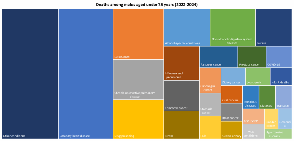 Top 30 causes of death among males aged under 75 years for deaths registered during 2022-2024