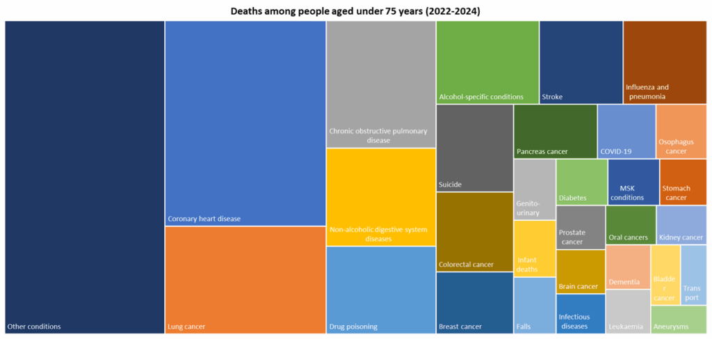 Top 30 causes of death among persons aged under 75 years for deaths registered during 2022-2024